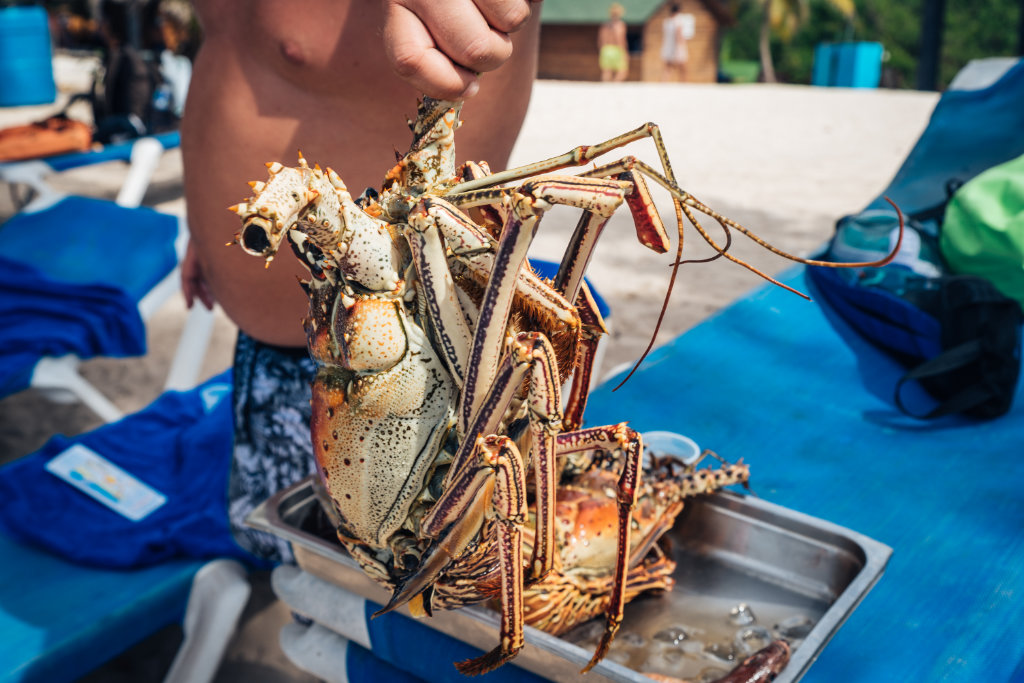 171128 AIDA%202017%20La%20Romana%20Karibik-73